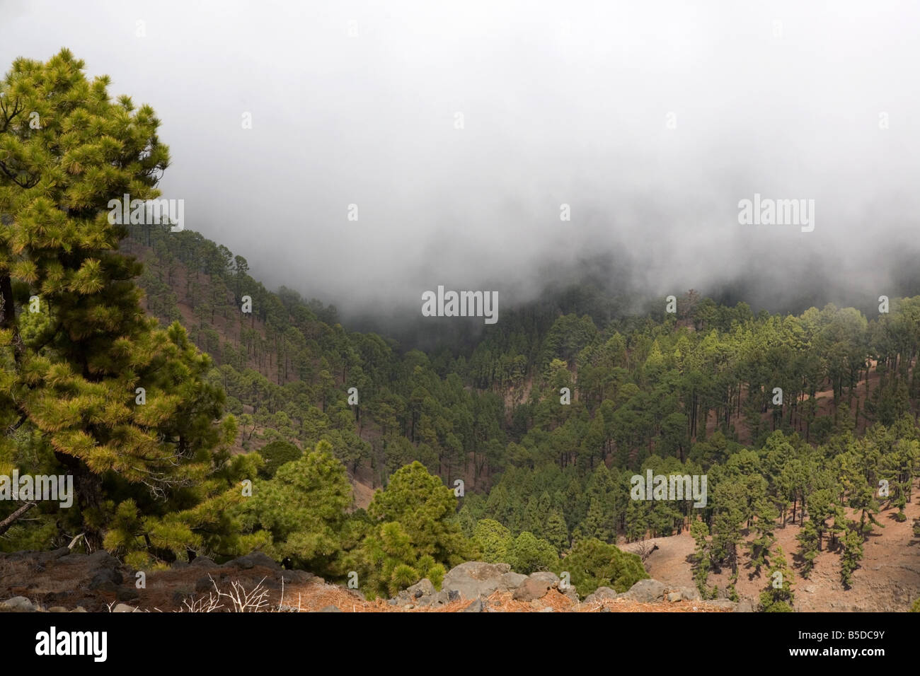 Vue depuis la route jusqu'à l'Observatoire Roque de los Muchachos à La Palma, une des îles Canaries. Banque D'Images