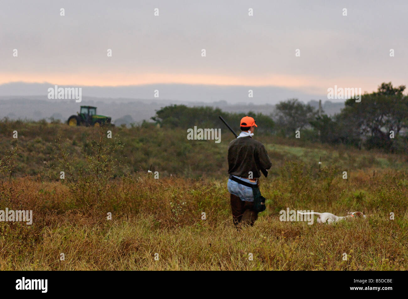 Colin Hunter et le chien au lever du soleil au Mexique Banque D'Images