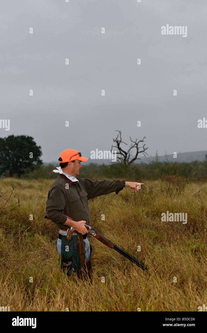 Chasseur d'oiseaux des hautes terres au Mexique Banque D'Images