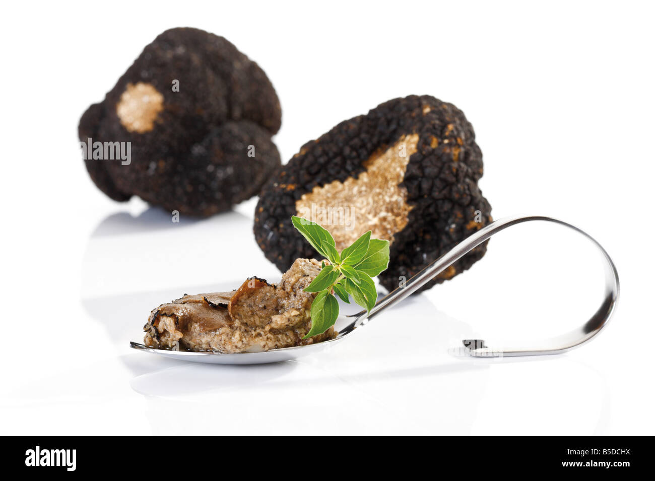 La truffe noire et truffe pesto sur spoon Banque D'Images