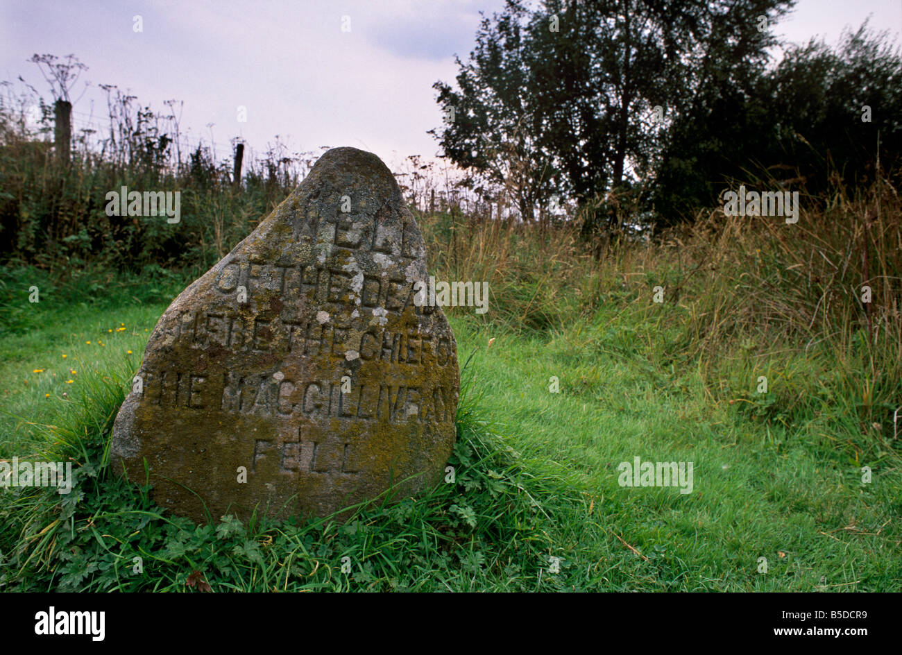 Pierre tombale marquant le bien des morts, bataille de Culloden Moor, près d'Inverness, région des hautes, Ecosse, Europe Banque D'Images