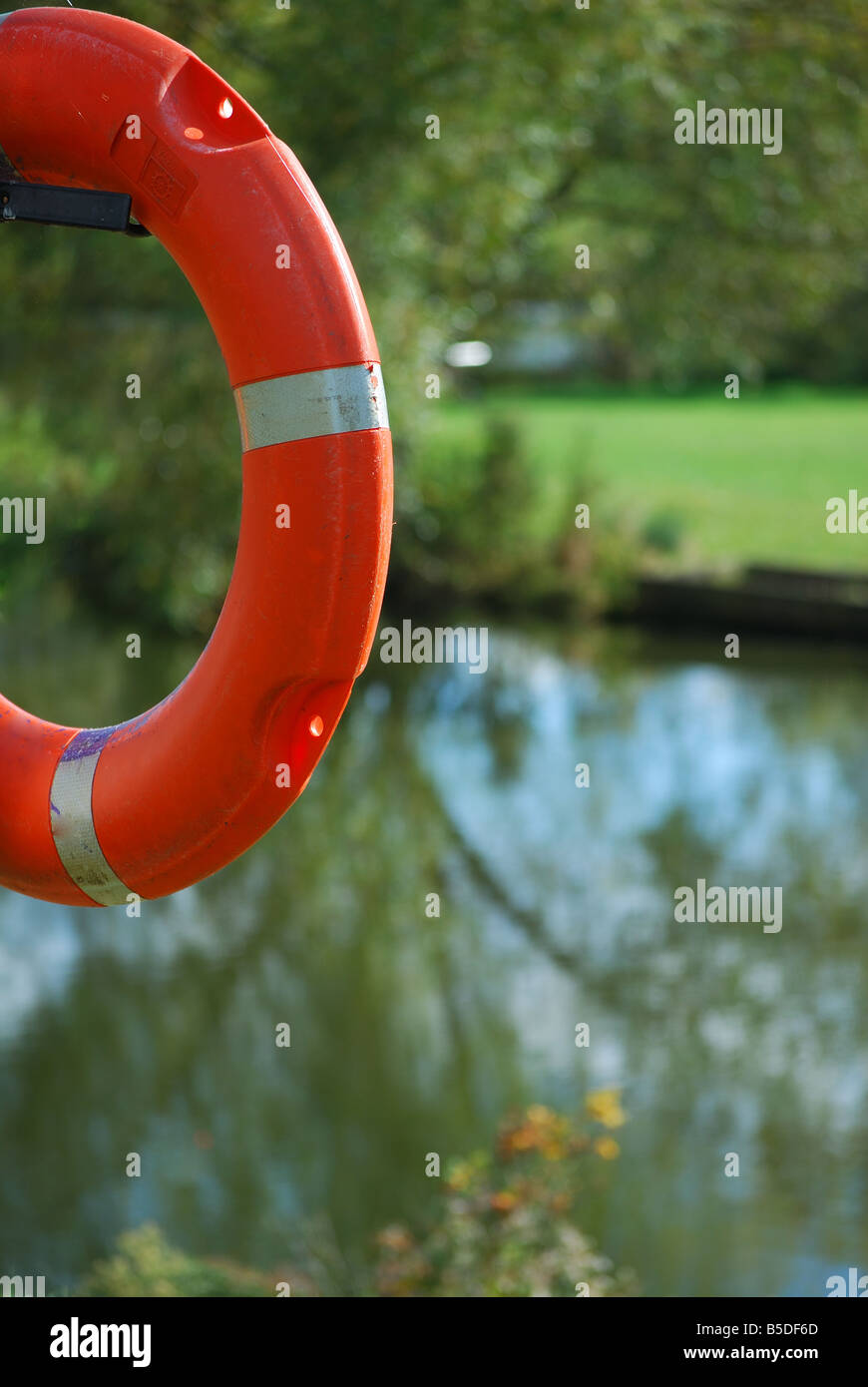 Joint torique sur la vie du lac Banque D'Images