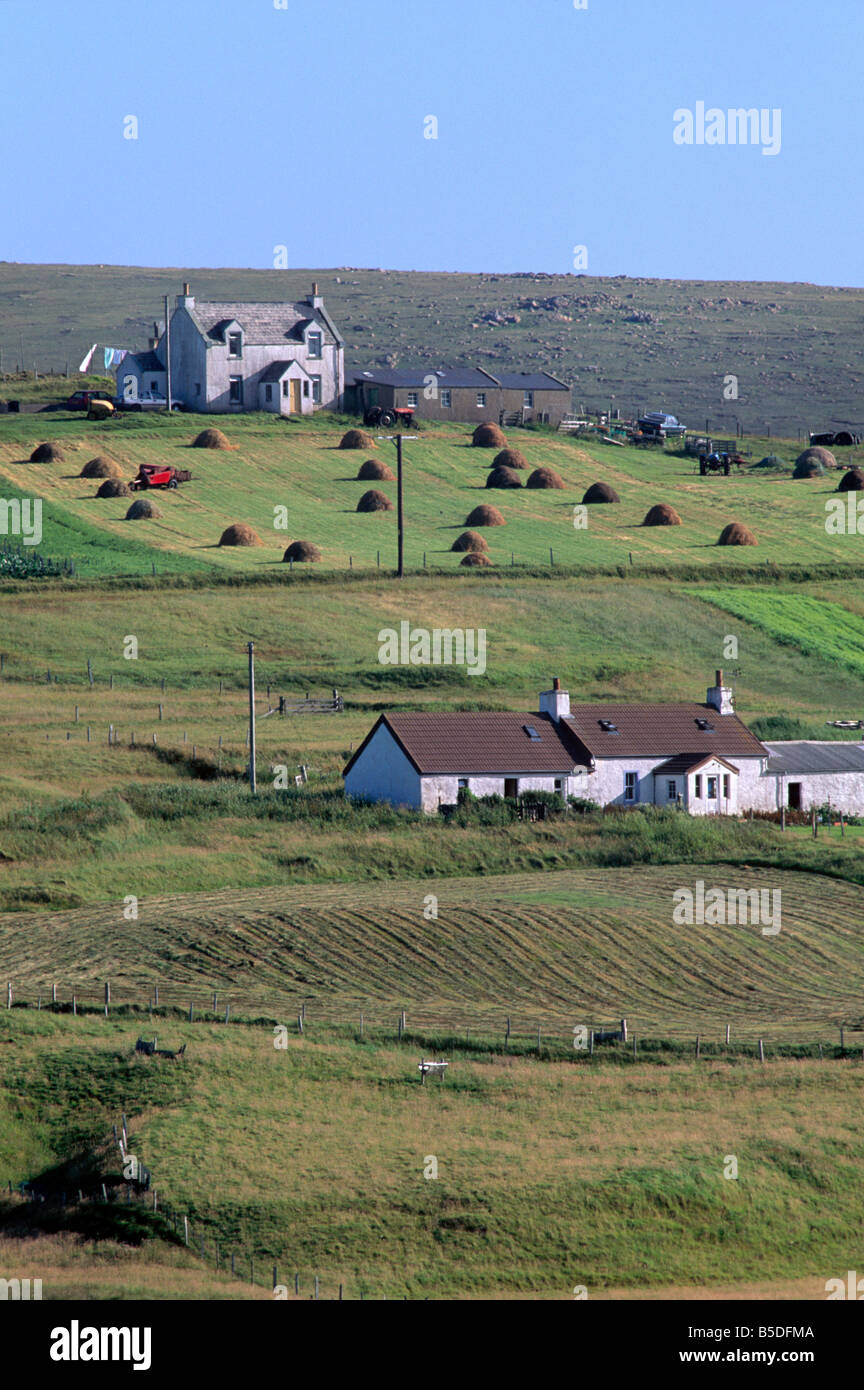 Bon exemple de l'utilisation des terres, Burrafirth, Unst, Shetland, Ecosse, Europe Banque D'Images