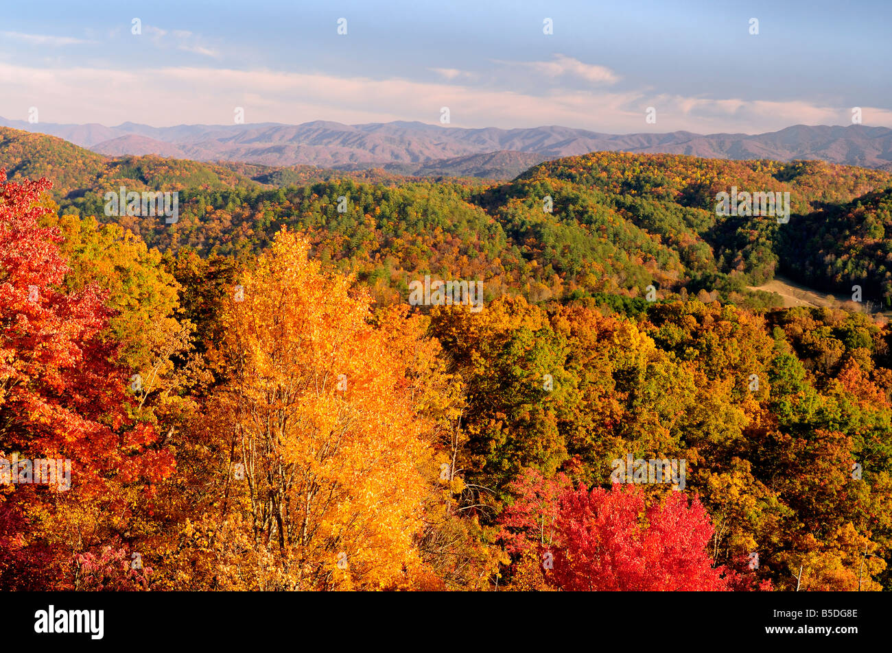 Foothills Parkway West dans le Great Smoky Mountains National Park Utah USA à la fin de l'automne couleur. Photo par Darrell Young. Banque D'Images
