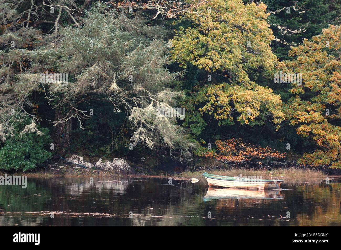 La baie de Kenmare Banque D'Images