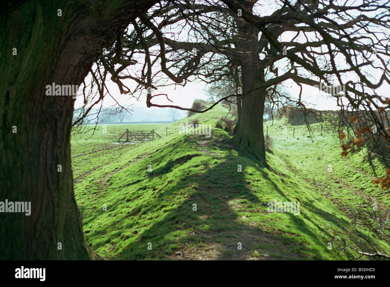 S'Offa Dyke Denbighshire Wales United Kingdom Europe Banque D'Images