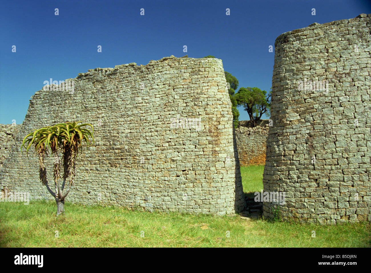 Murs de Grand Baie Grand Zimbabwe Site du patrimoine mondial de l'Afrique Zimbabwe Banque D'Images