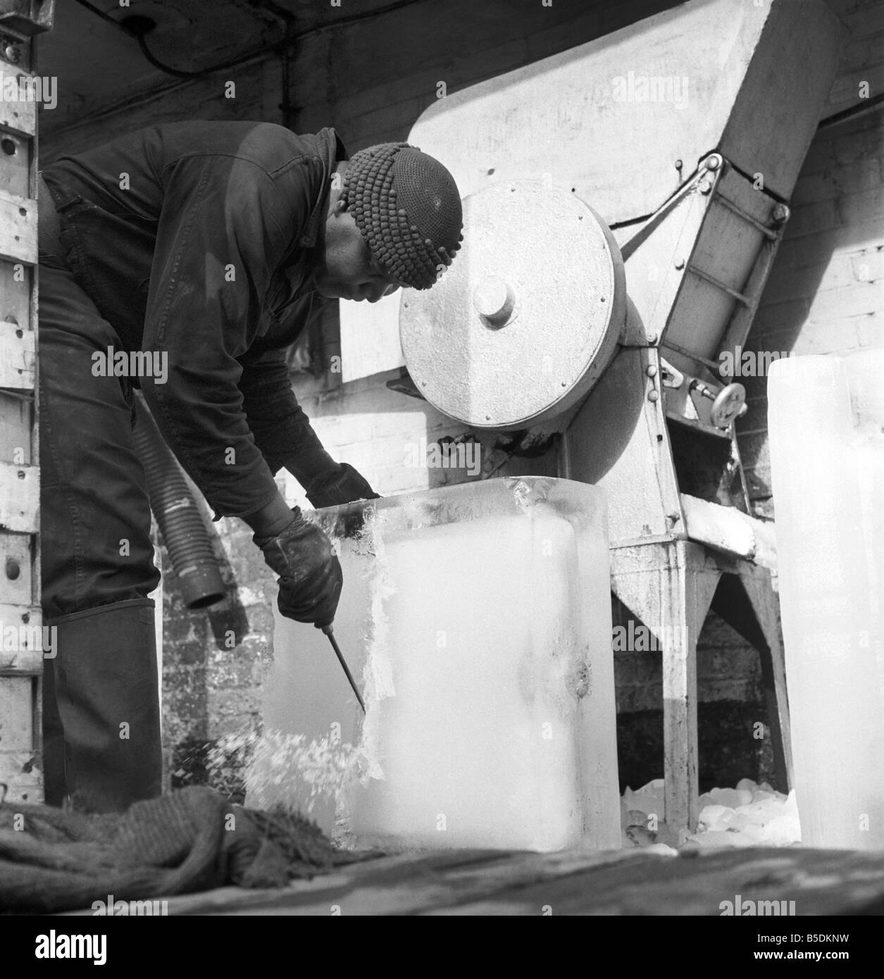 Fabrique de glace : scène à Londres une usine qui fabrique de la glace. Notre photo montre : blocs de glace d'être écrasé. 1966 oct. Banque D'Images