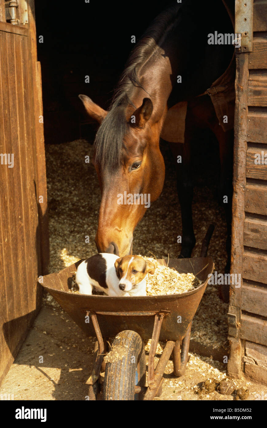 Belmont Country Club Angleterre Royaume Uni Europe Banque D'Images