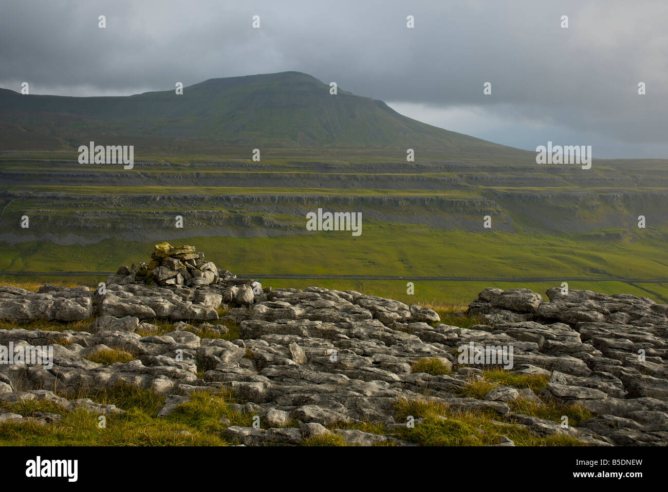 Ingleborough, l'un des trois sommets du Yorkshire, échelles de Moor, dans le Yorkshire Dales National Park, North Yorkshire, England UK Banque D'Images