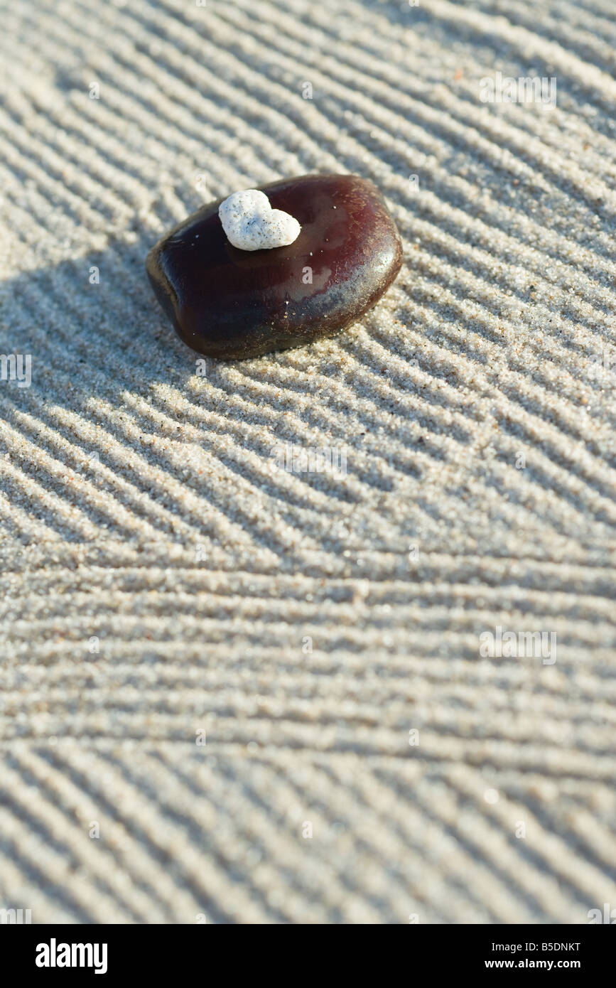 Haut de corail sur le sable ratissée sur pierre Banque D'Images