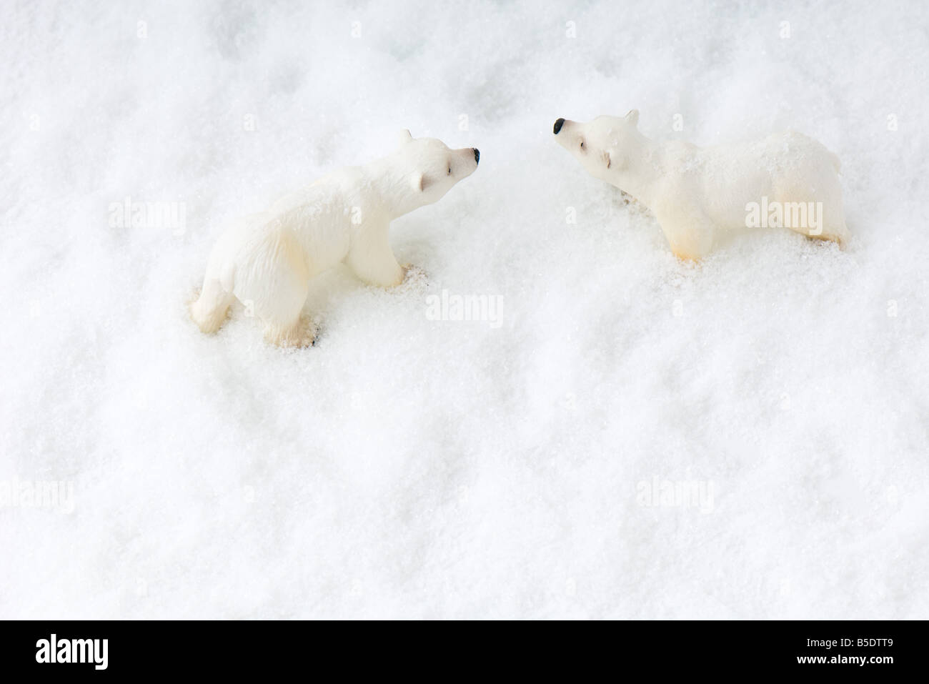 Peluche ours polaire dans la neige, overhead view Banque D'Images