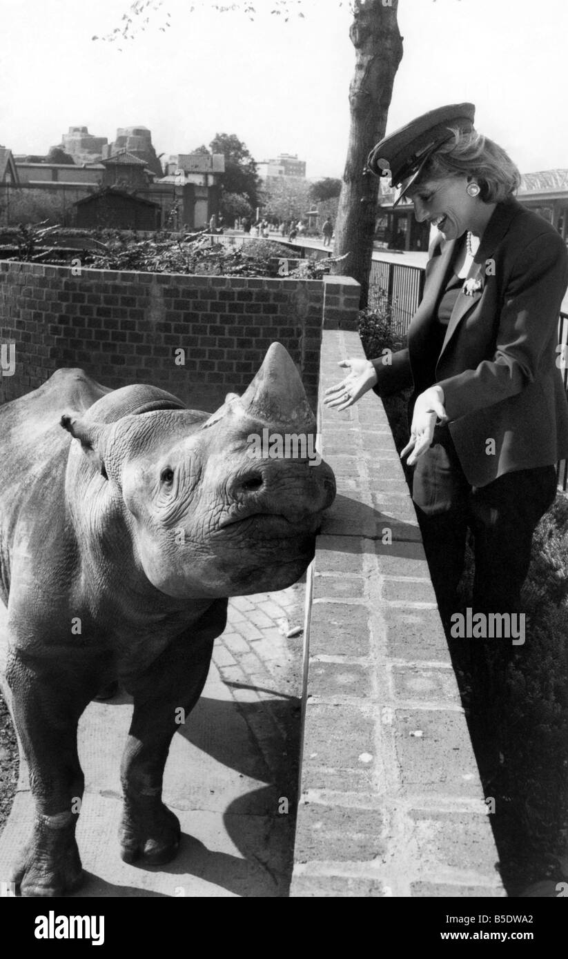 Cracher folle sur Esther's Le baver : Comme Esther Rantzen va vous dire, parfois la vie vous donne envie de cracher. Son poisson d'avril sur la TV la semaine dernière était si bonne qu'il a débarqué son en difficulté avec l'industrie des cosmétiques. La farce, il s'agissait d'une crème anti-rides que tout droit face à Esther dit téléspectateurs a été fait de toutes choses -- rhino spit. Frottez-le sur votre visage, elle lui a dit que c'est la vie ! Les téléspectateurs, et les rides disparaissent. Mais un effet secondaire est que vous pourrait bientôt commencer à les faire pousser sur vos résultats Banque D'Images