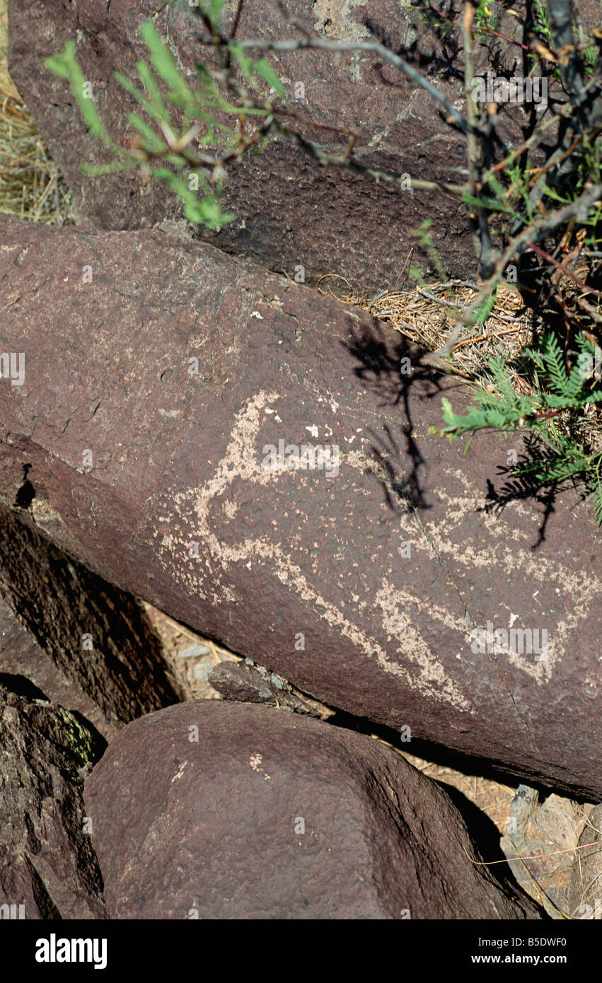 Vernis en désert d'oiseaux picotés de roche volcanique, Trois Rivières Site de pétroglyphes, Alamagordo, New Mexico, USA Banque D'Images