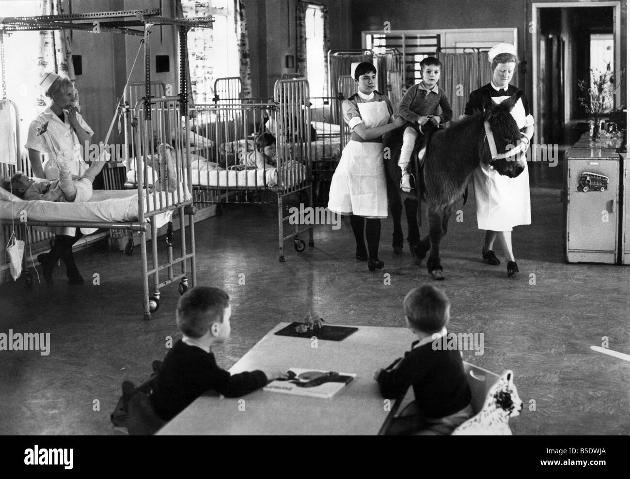 Hôpitaux : Pindy l'âne vu ici dans le quartier de l'Hôpital pour enfants à Wakefield. Avril 1968 P008333 Banque D'Images