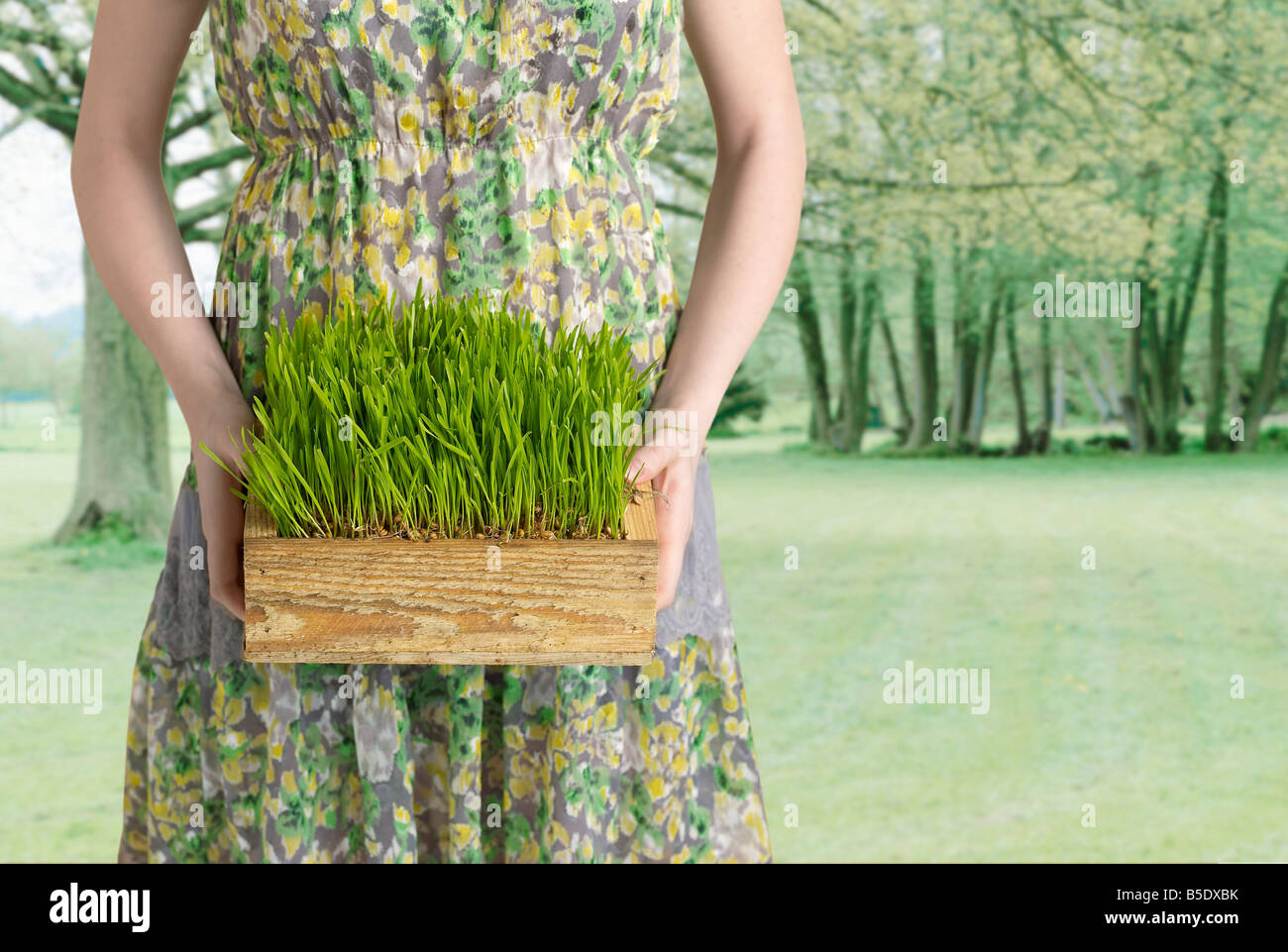 Young Woman Holding Box of Grass Banque D'Images