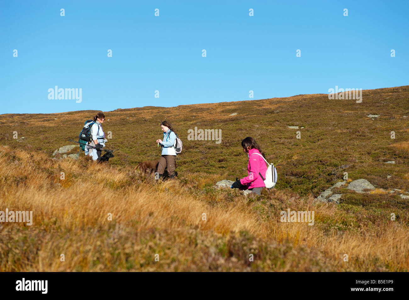 Femme et les jeunes filles marcher les chiens en laisse dans les montagnes de l'Ecosse UK à l'automne Banque D'Images