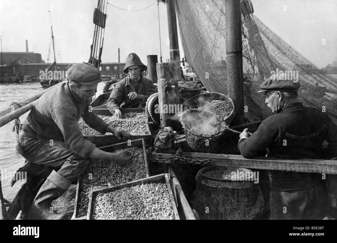 Les rendements de la récolte de crevettes Thames à Gravesend, Kent;Skipper Henry Sutherland se tire très bien de crevettes dans la Gravesend Atteindre de la Thames. À bord du "Bawley Lilian' les crevettes sont tamisés, cuits dans un cuivre, refroidi et mis en sacs pour être envoyé à Londres. Un tout petit de bateaux de pêche de sortir de Gravesend tous les jours. Parfois, ils reviennent avec un canard, ainsi que les crevettes. ;Octobre 1943 Banque D'Images