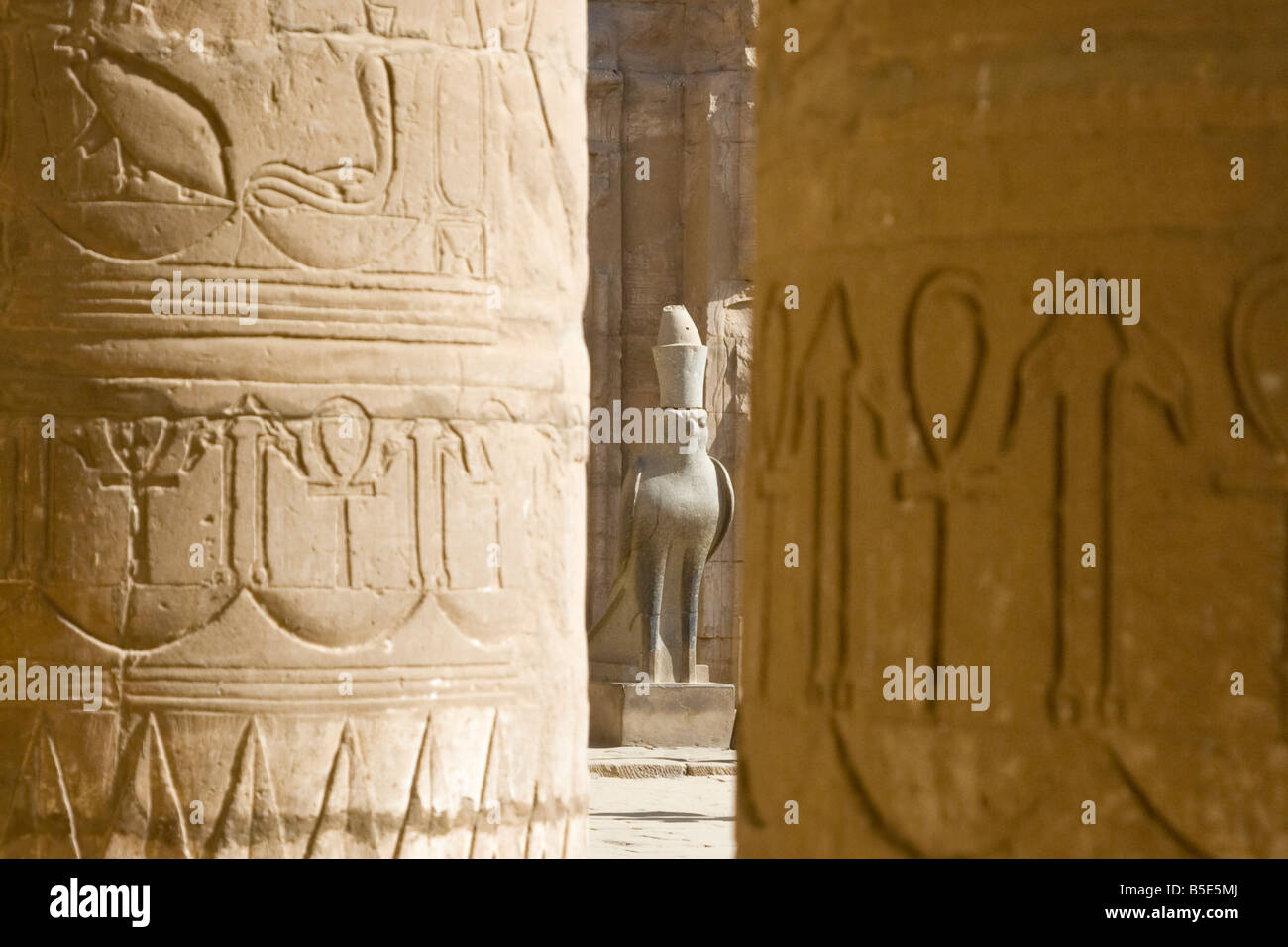 Statue du dieu égyptien Horus à Edfou le Temple d'Horus en Egypte Banque D'Images