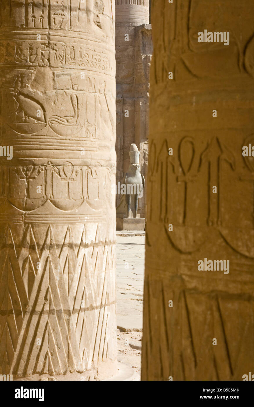 Statue du dieu égyptien Horus à Edfou le Temple d'Horus en Egypte Banque D'Images
