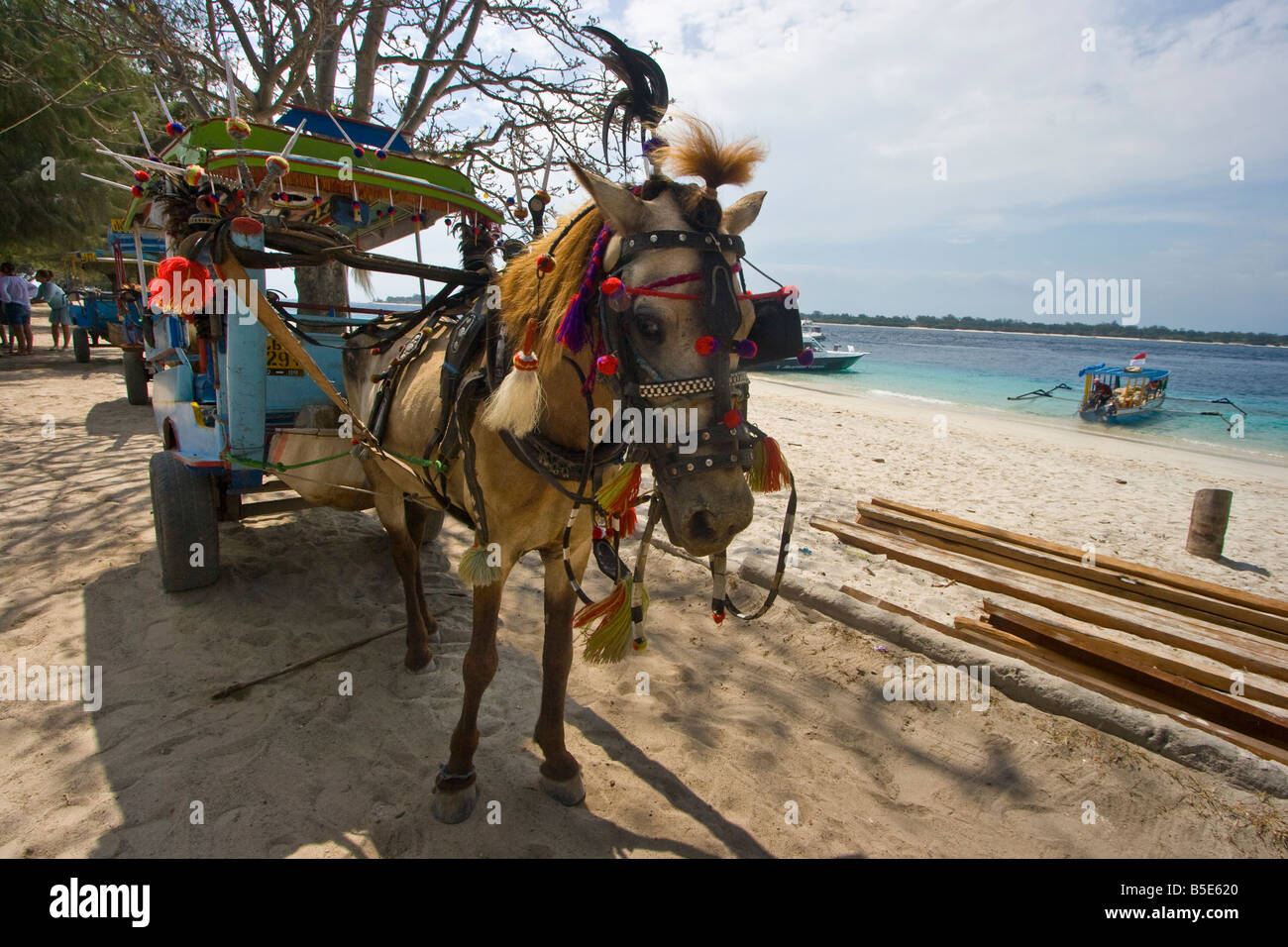 Calèche Cidomo sur l'île de Lombok en Indonésie Banque D'Images