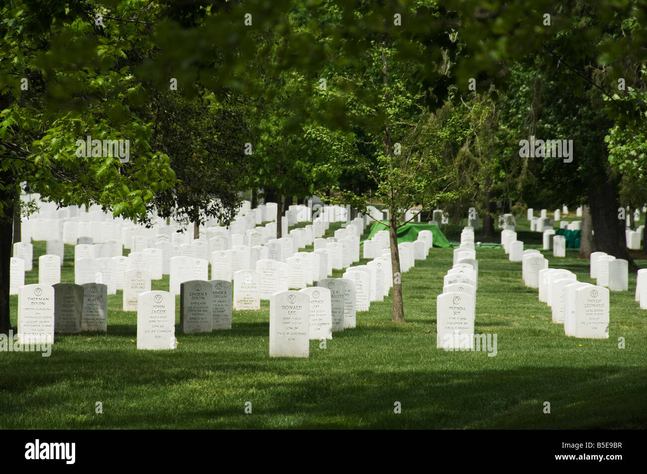 Le Cimetière National d'Arlington, Arlington, Virginia, USA, Amérique du Nord Banque D'Images