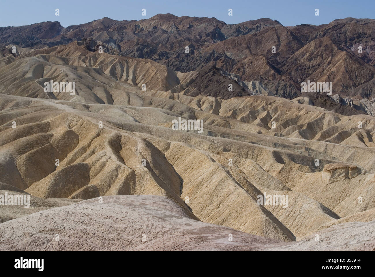 Zabriskie Point, Death Valley Natiional Park, Californie, États Unis, Amérique du Nord Banque D'Images