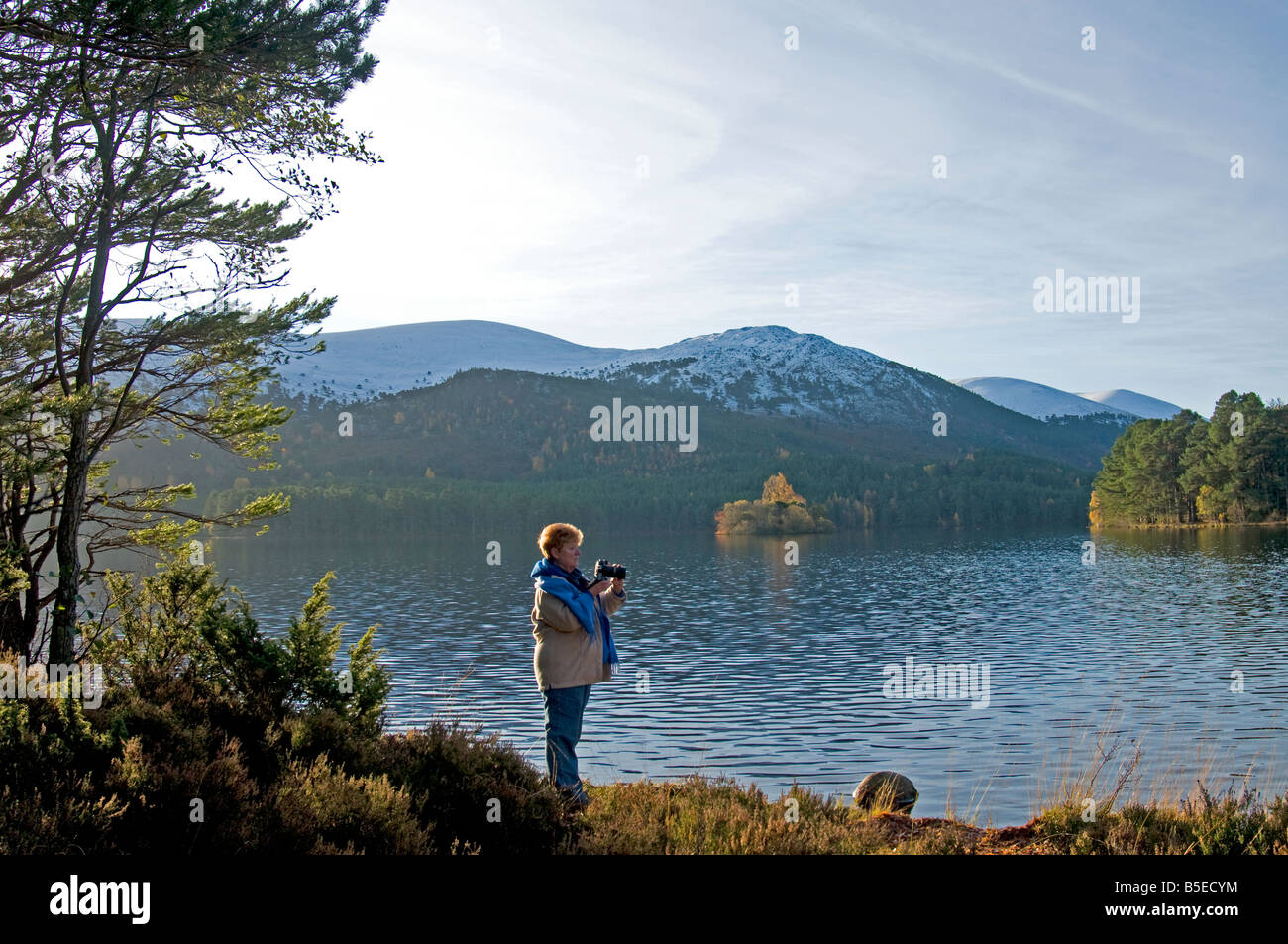 Loch an Eilein Rothiemurchus Strathspey Highland Inverness Ecosse Région 1089 SCO Banque D'Images