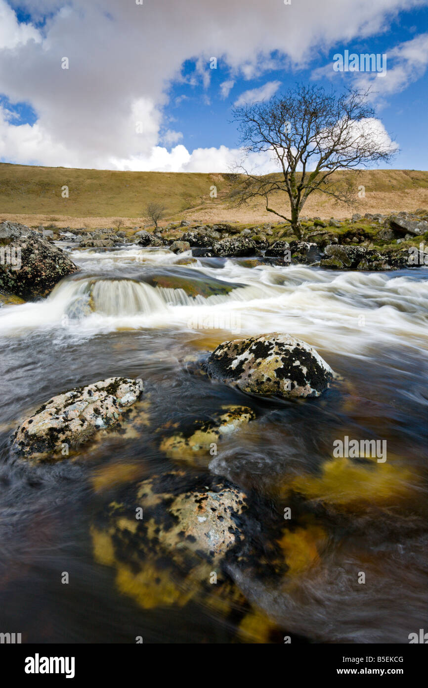 S'écoulant dans la rivière Tavy Tavy Cleave Dartmoor National Park Devon, Angleterre Banque D'Images