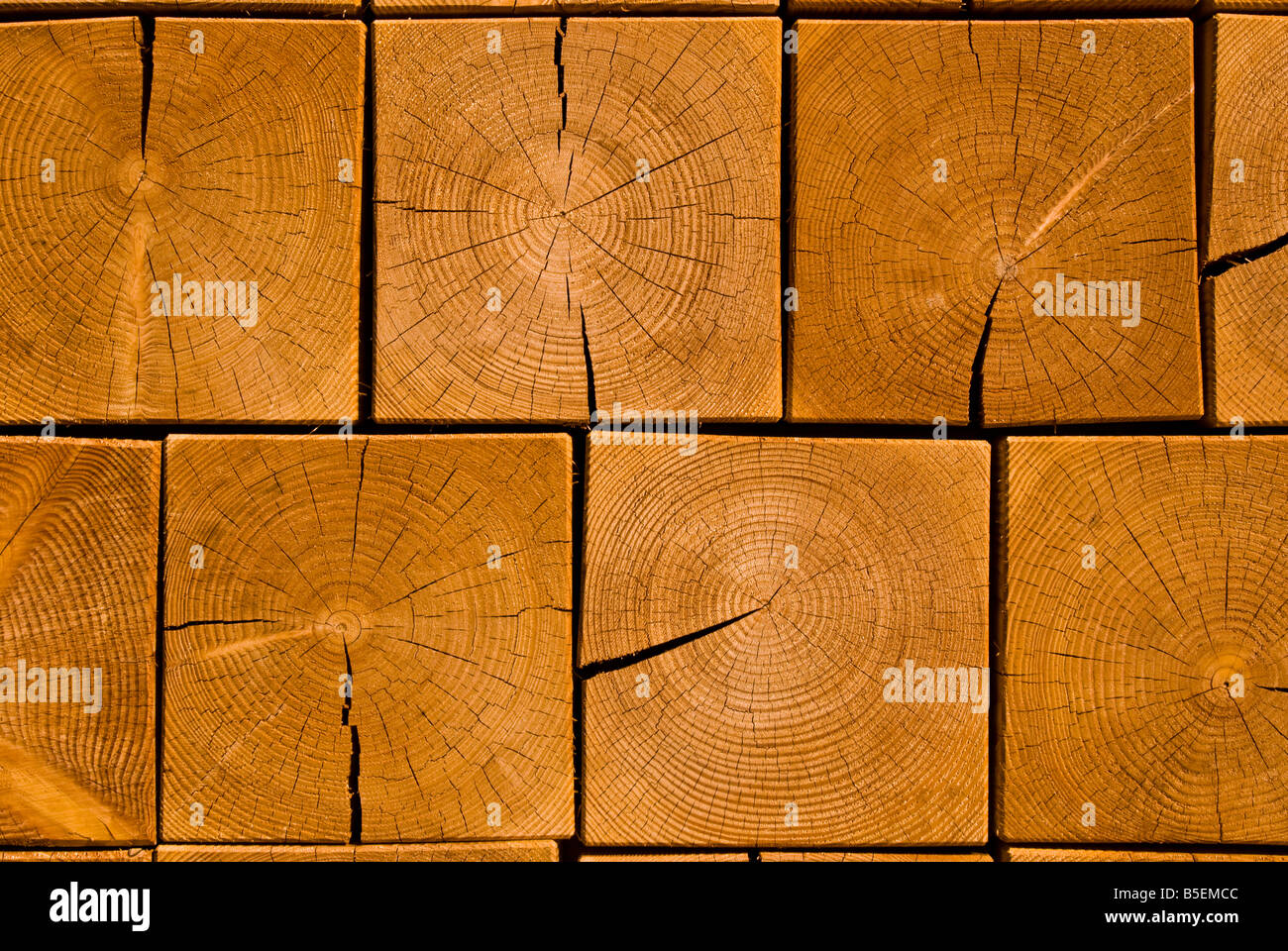 Des cales de bois montrant le grain en sculpture de Frank Gehry à la serpentine, Londres Banque D'Images