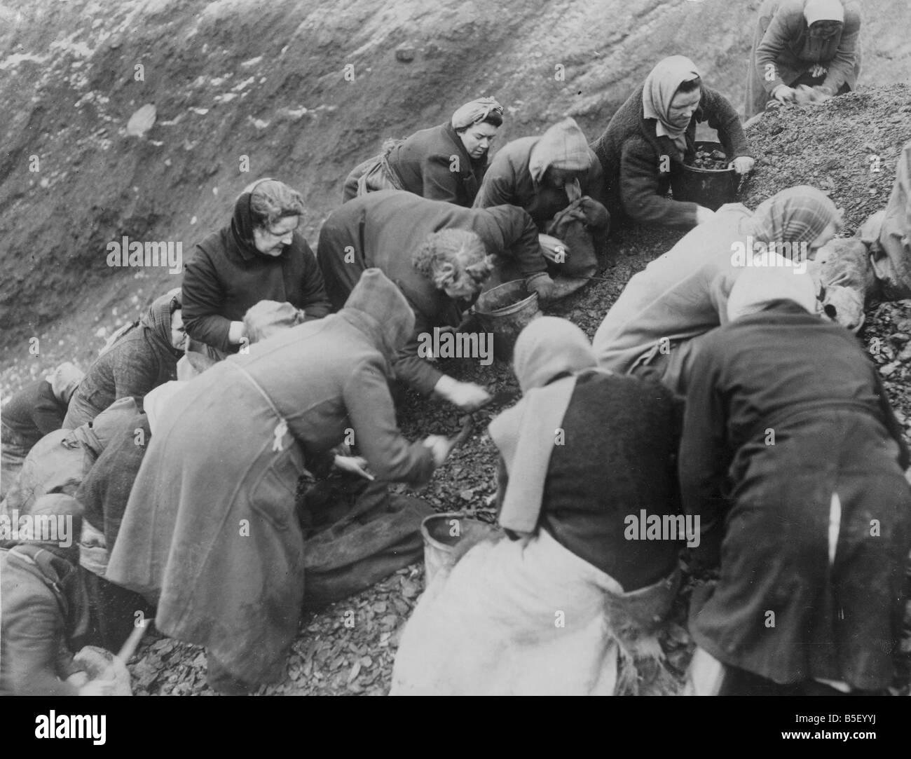 Les femmes avec des seaux, sacs et sacs grappiller des morceaux de charbon parmi les scories à la mine locale près de Gorton à Manchester au cours de la pénurie de charbon de la Deuxième Guerre mondiale. Certaines de ces femmes étaient des ouvriers d'usine qui avaient pris une journée de congé pour obtenir leur carburant ;janvier 1945 Banque D'Images