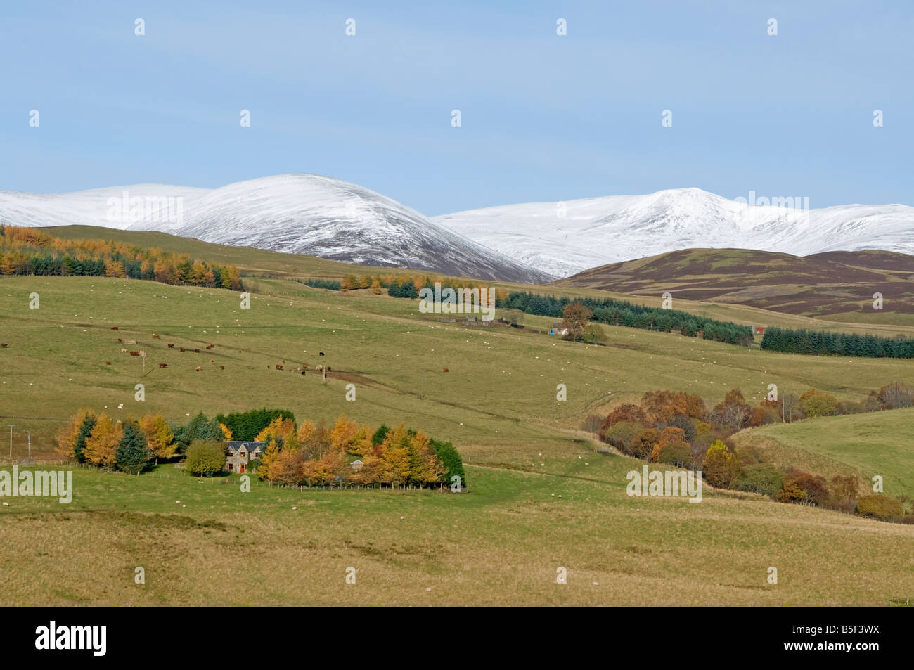 Lude dans Glen Blair Atholl aile Tayside Perthshire Scotland UK Région 1101 SCO Banque D'Images