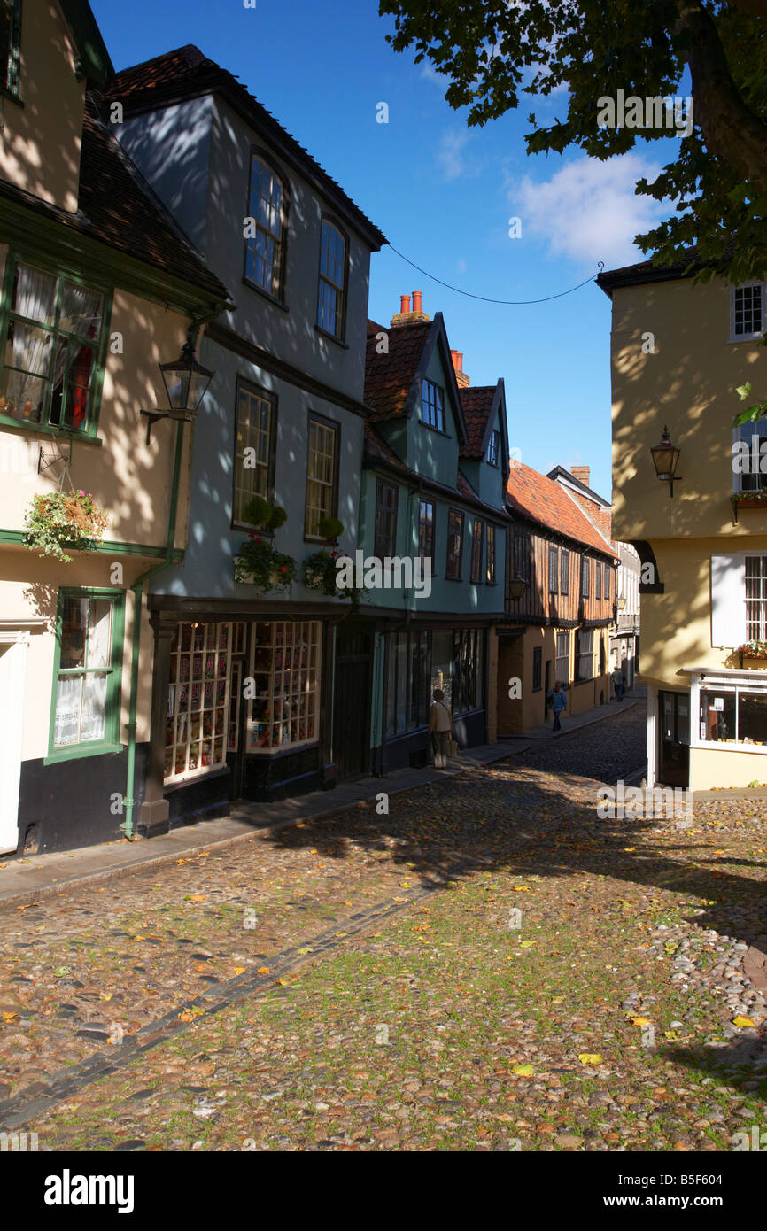 Les rues pavées et les vieux immeubles de Elm Hill UK Norwich Banque D'Images
