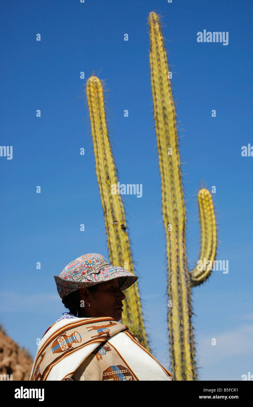 Femme de la région de vendre ses marchandises à l'avant d'une lagre cactus dans le Canyon de Colca, près de Arequipa, Peru Banque D'Images