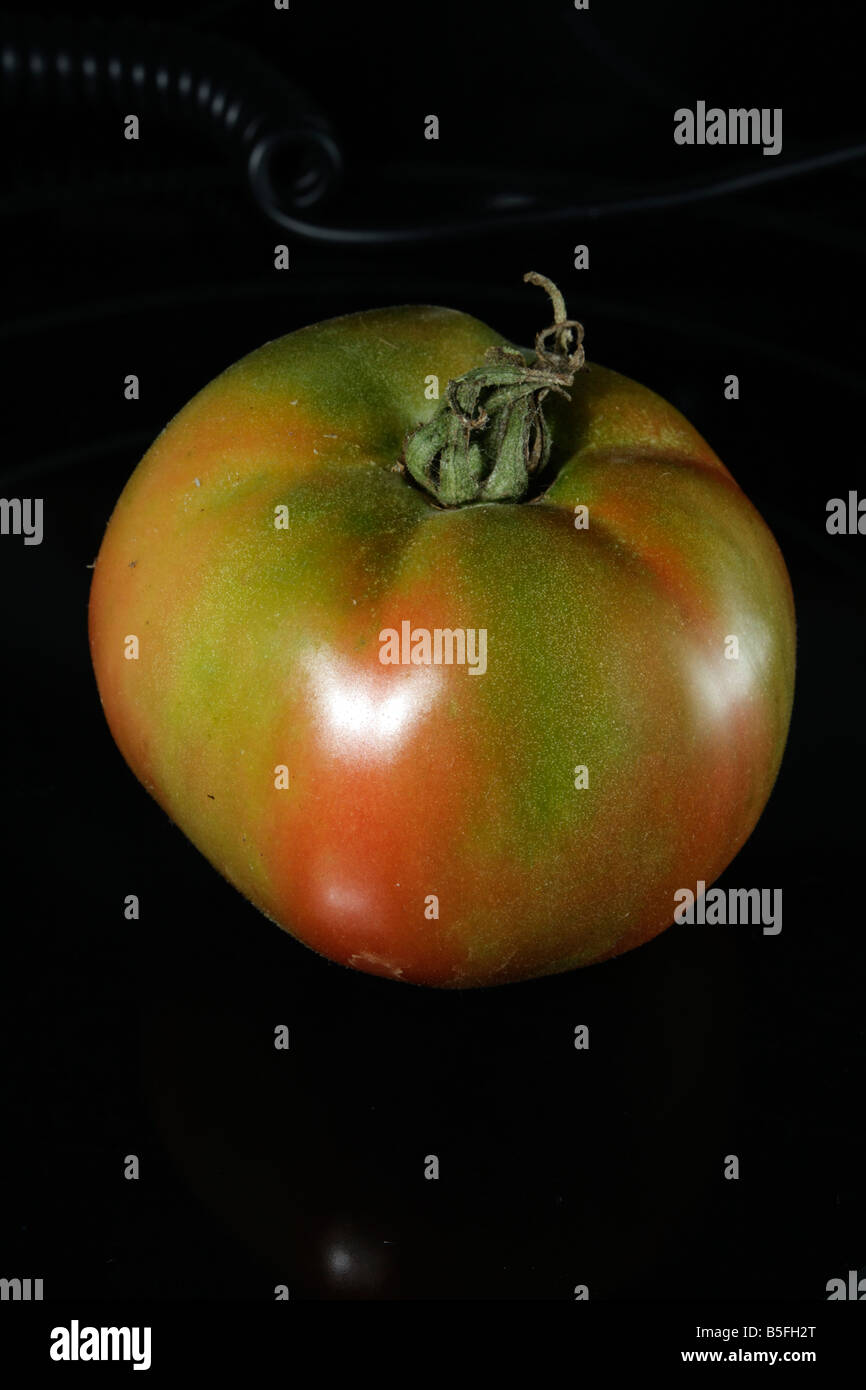 Tomate rouge et vert avec tige sur noir. Banque D'Images