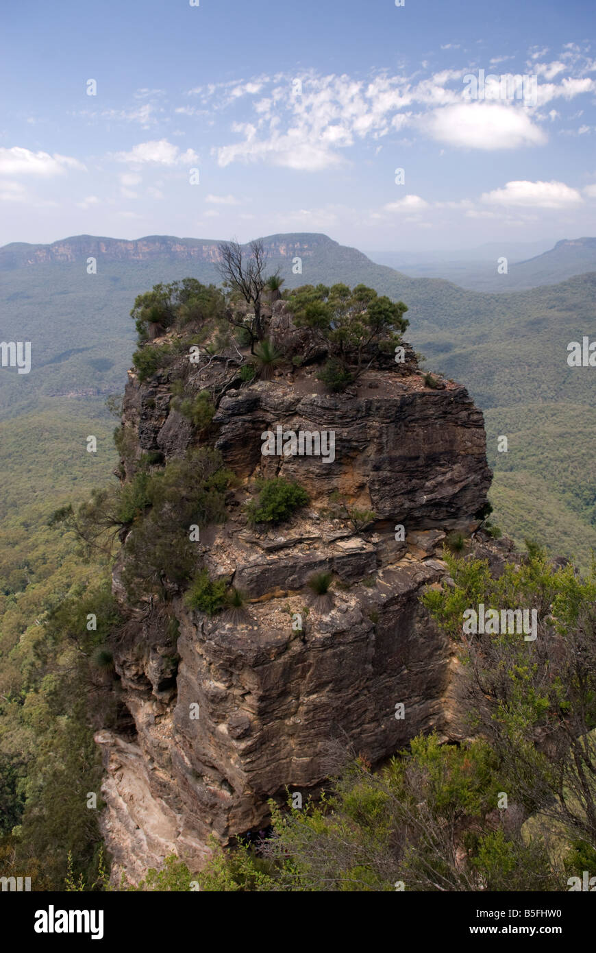 Les Blue Mountains, Australie Banque D'Images