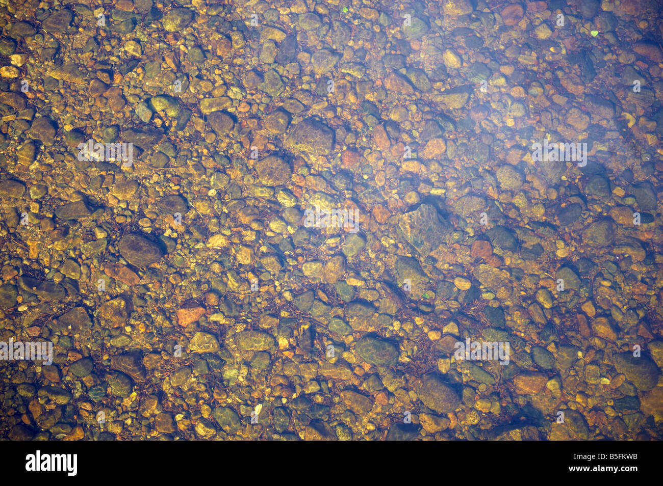 Cambus O Mai Dee Ecosse UK à l'automne Banque D'Images
