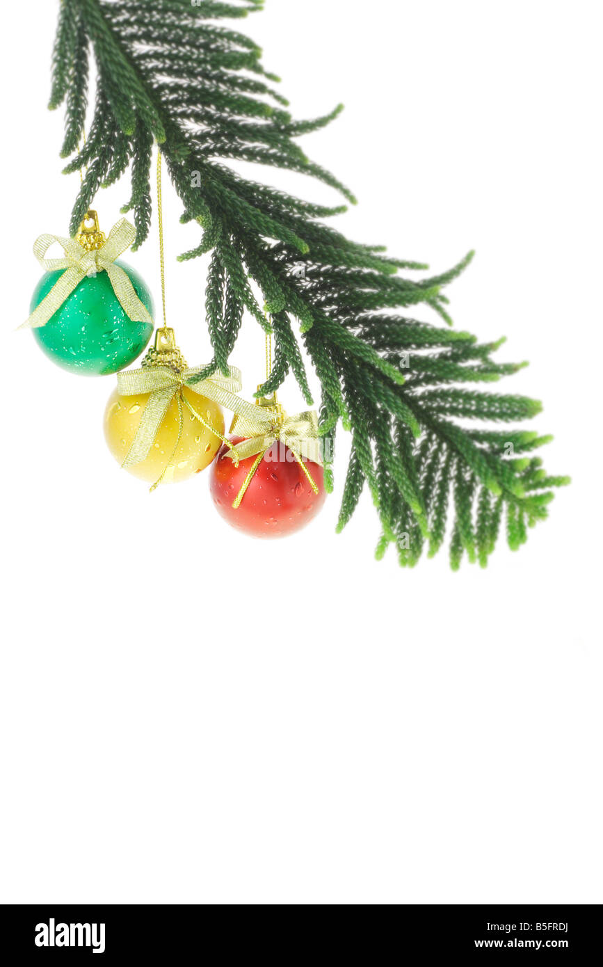 Christmas baubles hanging on pine tree with copy space Banque D'Images