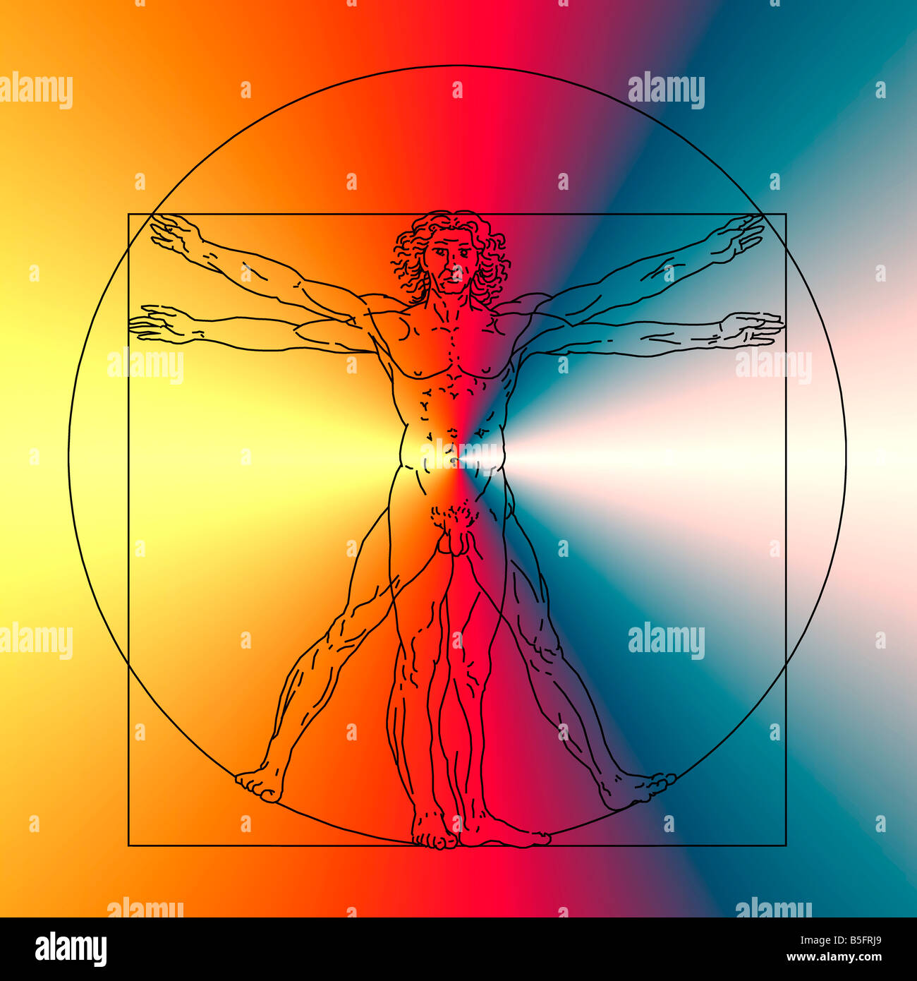 Réplique de l'homme de Vitruve par Leonardo da Vinci Banque D'Images
