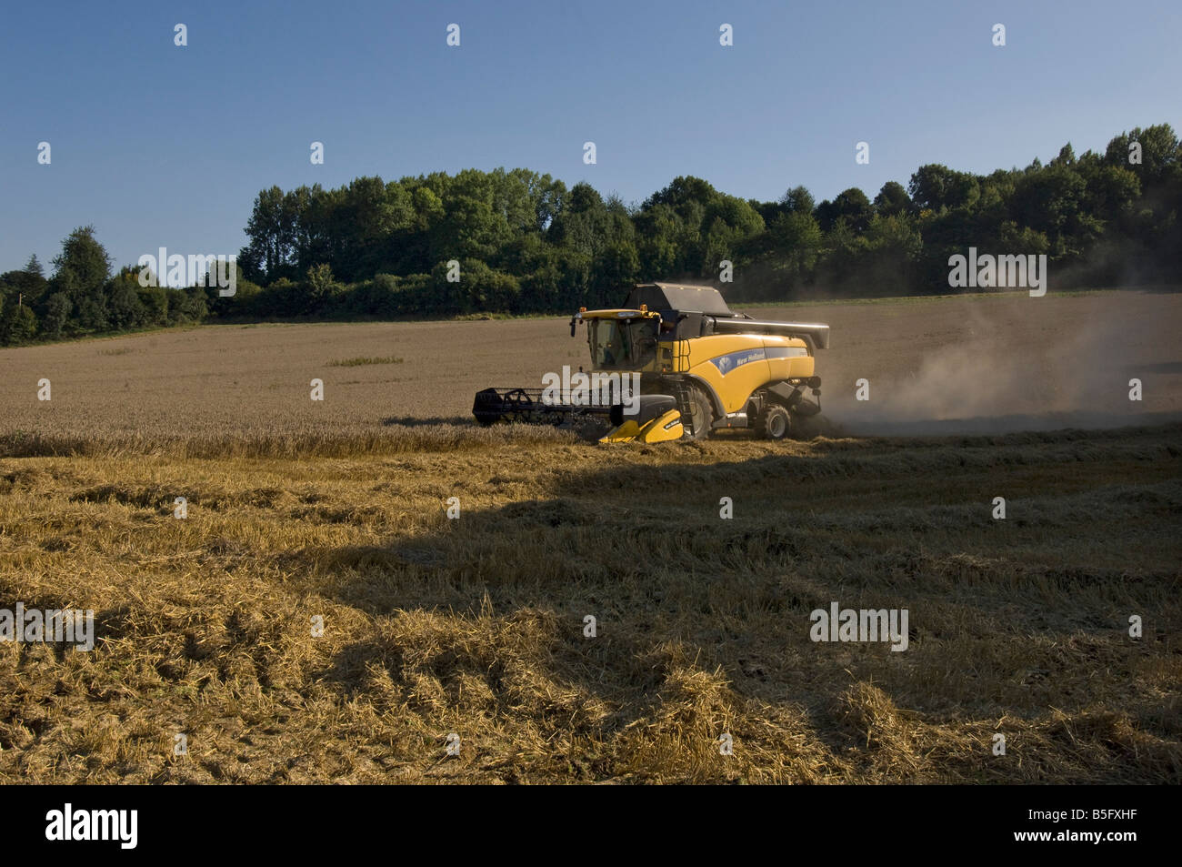 Une moissonneuse-batteuse au travail dans le Nord de la France Banque D'Images