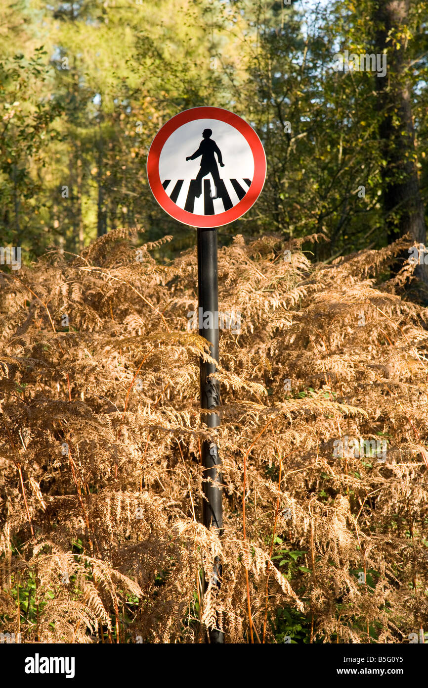 Passage pour piétons sign in overgrown woodland Banque D'Images