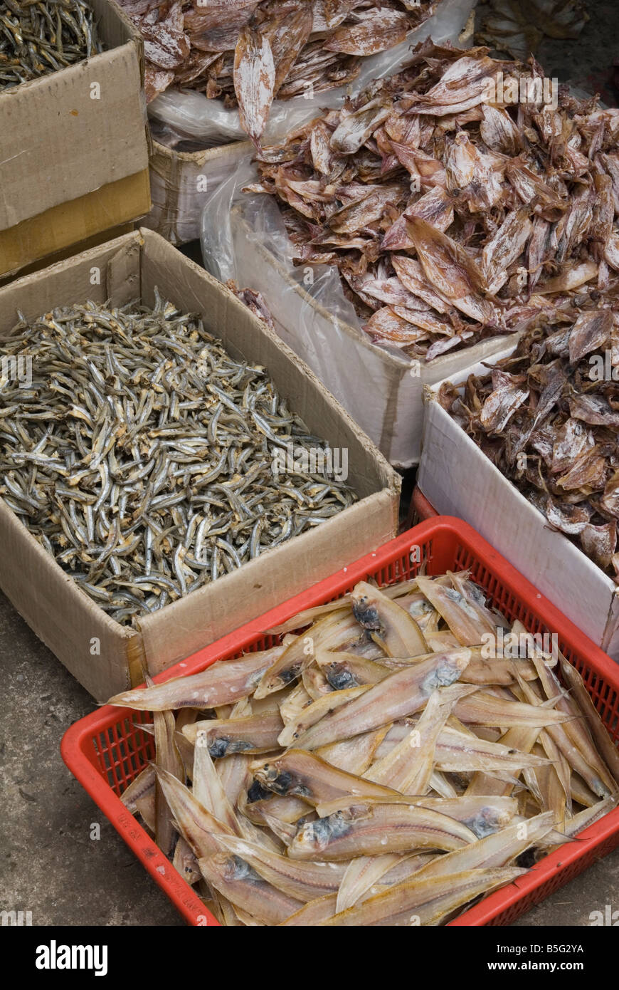 Blocage du marché de la vente de fruits de mer séchés en vente au marché Binh Tay, Cholon, Ho Chi Minh City, Vietnam Banque D'Images