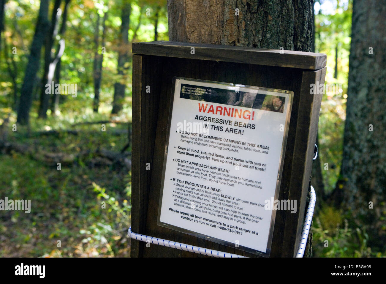 Panneau d'avertissement NPS randonneurs d'alerte d'ours agressif le long du sentier de vieux Rag Mountain, le Parc National Shenandoah, en Virginie. Banque D'Images