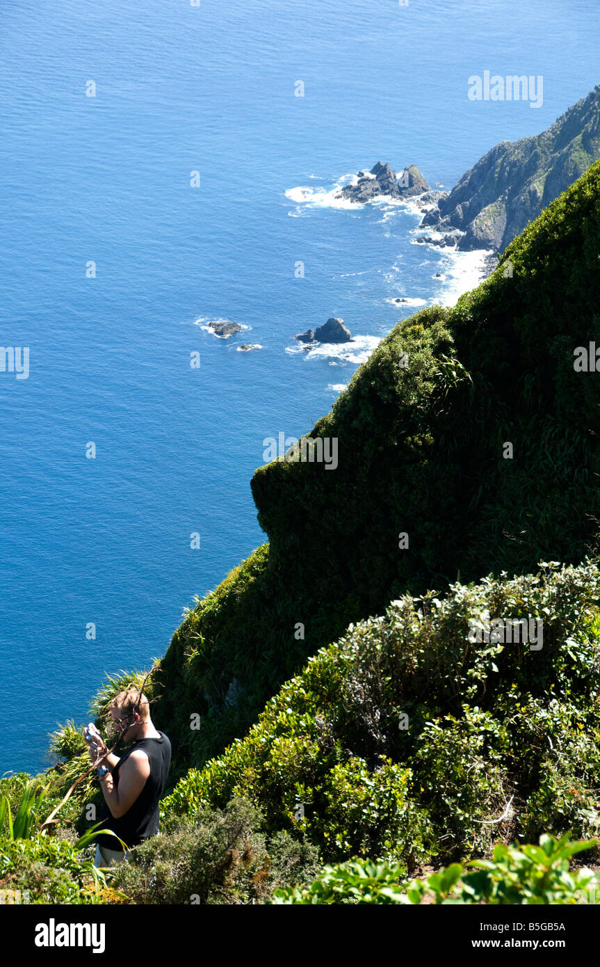 Sur le sommet d'Tuteremoana, point le plus élevé de l'île de Kapiti, Nouvelle-Zélande Banque D'Images