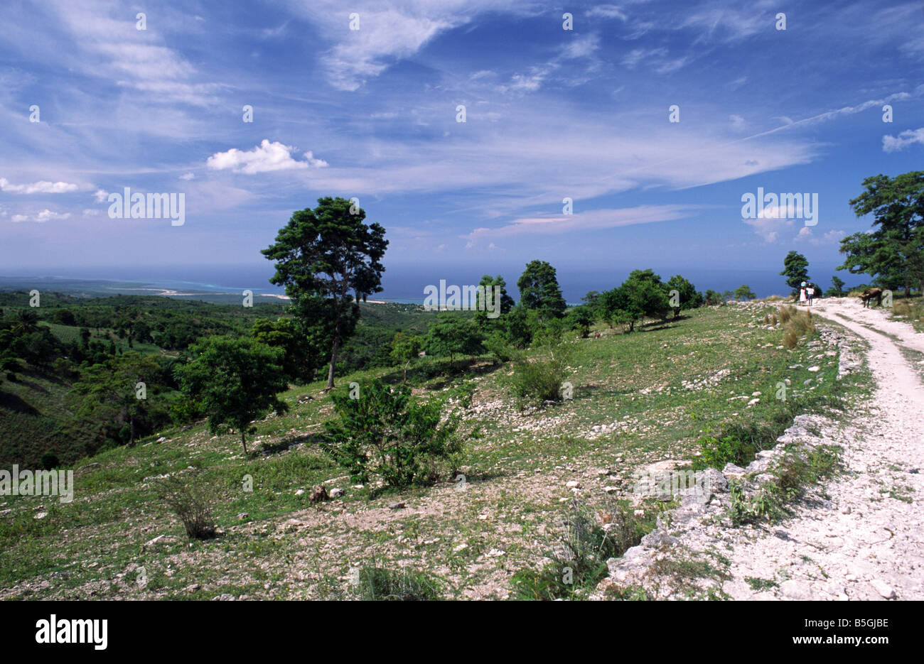 L'extrême de l'érosion du sol et la déforestation signifie que l'environnement d'Haïti est l'une des plus sinistrées dans le monde Banque D'Images