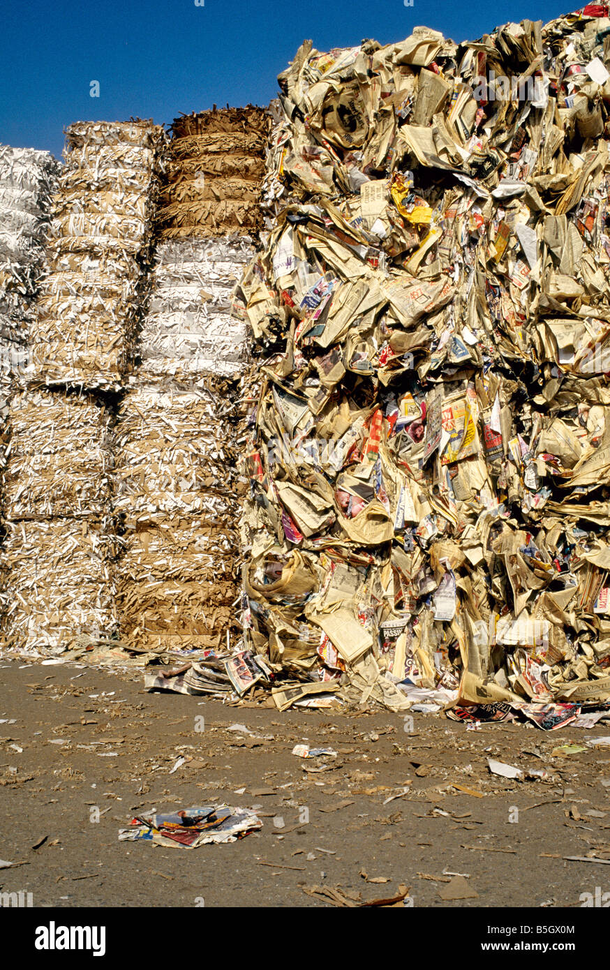 Les cadres de empilées en balles et râpé papier à recycler. Banque D'Images