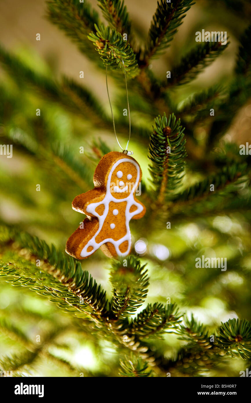 Biscuits au gingembre on Christmas Tree Banque D'Images