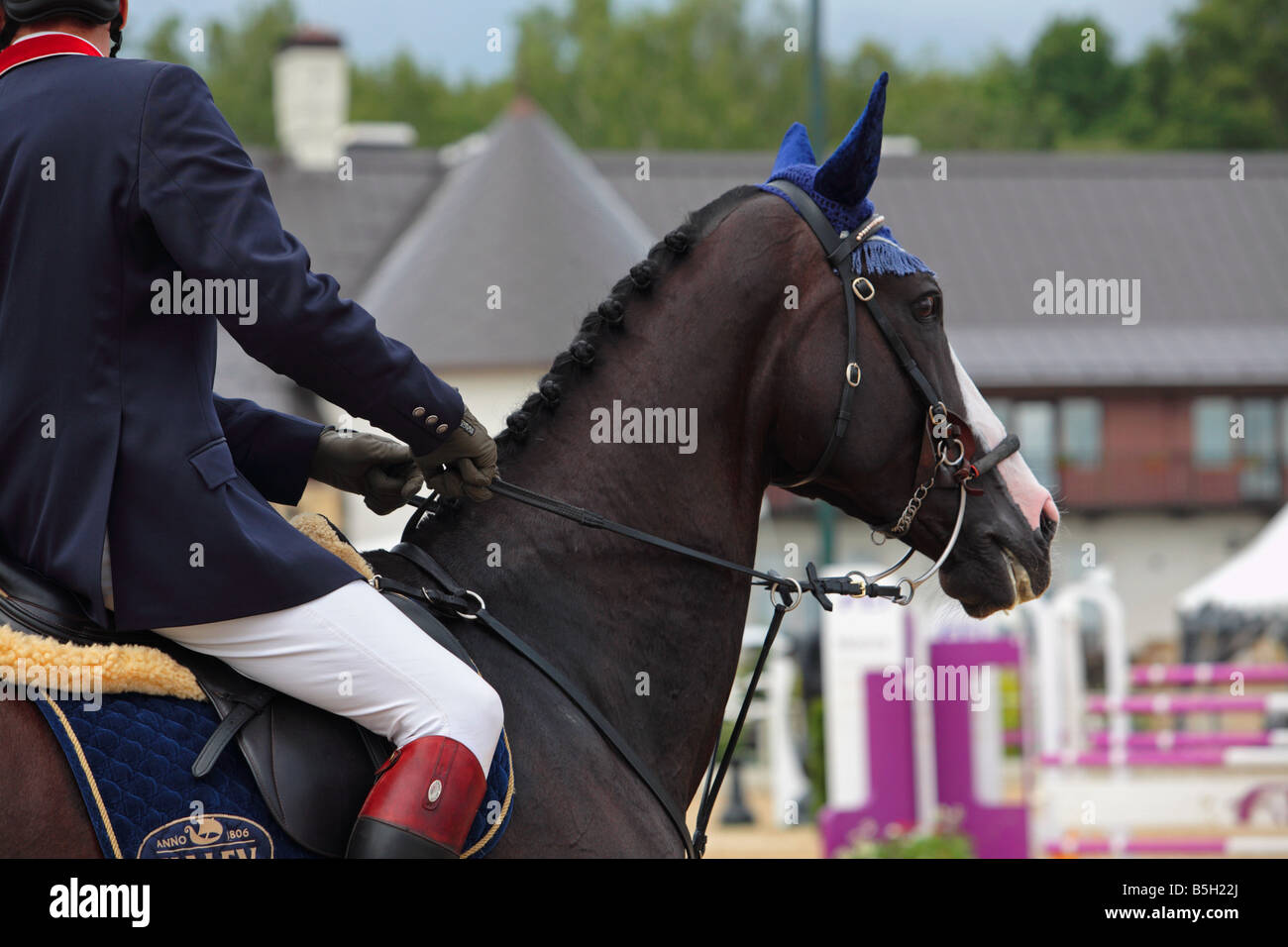 Cavalier de saut d' Banque D'Images
