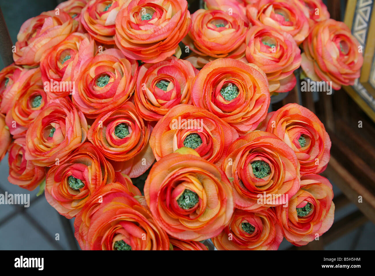 Affichage des fleurs pour la célébration de l'action de grâce en Amérique  du Nord Photo Stock - Alamy