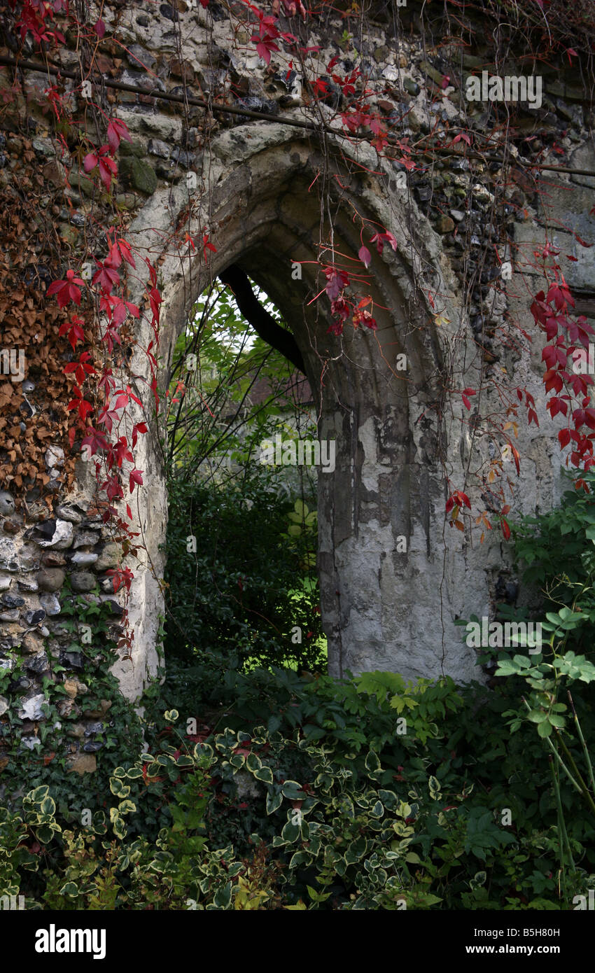 Les ruines du cloître au prieuré de Clare dans la ville de Clare dans la région de Suffolk Angleterre www.georgeimpeyphotograper.co.uk Banque D'Images